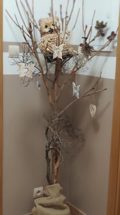 Margus Apartmany أوسكادنيكا المظهر الخارجي الصورة